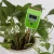 Import 3 in 1 Garden Tool Soil Tester Plants Flower Plants Hygrometer Moisture Sunlight electronic eletronic soil pH Meter from China