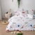 Import 3 piece microfiber printed bedding set bed sheet set from China