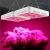 Import 300w/600w LED bulbs Cob Greenhouse plant growing lights strips indoor hydroponic full spectrum led grow light from China