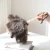 Import 35 CM Wooden Handle and Eco-Friendly Reusable Handheld Ostrich Feather Duster from China