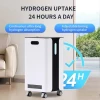 450ml/min hydrogen generator Inhaler Breathing Machine hydrogen high purity Hydrogen generator health care