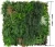 Import 5% discount High quality natural color uv retardant vertical artificial plant wall from China