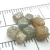 Import 6-7 MM 4 TO 6 CARAT PER PIECE CONGO CUBS NATURAL ROUGH DIAMOND UNCUT PRICE from India