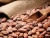 Import A Grade Quality Dried Cocoa Beans from South Africa