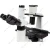 Import ABM-100 Inverted biological microscopes for live cell observation, in-vitro fertilization, epi-fluorescence from China