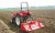 Import Agriculture Plough Black Cultivator for Farm rotary tiller from China