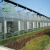 Import Agriculture/Commerical Multi Span Polycarbonate Sheet/PC Sheet Greenhouse Steel Frame for Vegetables/Garden/Tomato from China