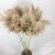 Import Amazon Top Seller Decoration Dried Flowers Brown Pampas Grass fluffy Pampas Grass reed For Home Decor from China