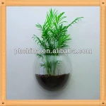 An-c406 European Design Factory Sell Round Aquariums/Aquarium Rack/Aquarium Equipment