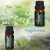 Import Aromatherapy 6 flavoursEssential Oils 100% Pure of The Highest Quality from China