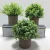 Import artificial flower for home decor live bonsai artificial plant for office deacor amazon Sell like hot cakes style from China