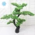 Import Attractive decorative artificial podocarpus landscaping podocarpus bonsai tree from China
