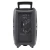 Import Audmic outdoor amplified bluetooth trolley speaker with radio with led light from China