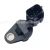 Import Auto Engine Camshaft Position Sensor For DiCor VariCor Safari Xenon Aria Hexa OEM 278915400104 from China