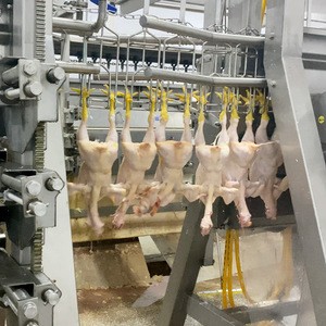 Automatic Chicken Slaughtering Line Equipment for Poultry Abattoir