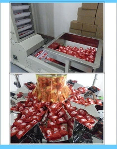 Automatic ice candy packaging filling and sealing packing machine