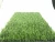 Import AVG Artificial Turf Green Artificial Grass Indoor Fake Grass from China
