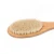 Import BA-6087 Organic Spa Exfoliation Massage Scrub  Long Handle Bath Back Bamboo Brush from China