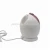 Import best price cheap electric facial steamer mini face sauna steamers from China