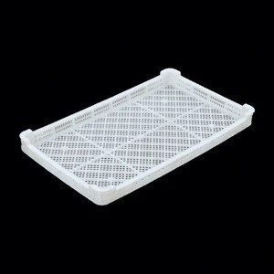 Best price  pp plastic drying trays food grade for paintballs and soft capsule with net hole
