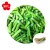 Import Best quality fresh frozen asparagus manufacturer from China