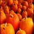 Import Best Quality Fresh pumpkin from China