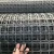 Import Biaxial Plastic Geogrid  Poultry farming biaxial geogrid garden fence from China