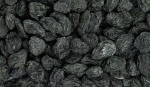 BLACK RAISINS