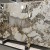 Import Brazil natural stone Patagonia granite from China