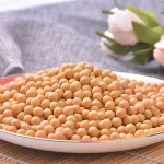 Canada Wholesale Dried Yellow Soybean / Soya Seeds