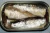 Import Canned Fish, Canned Mackerel, Canned Sardine from Philippines