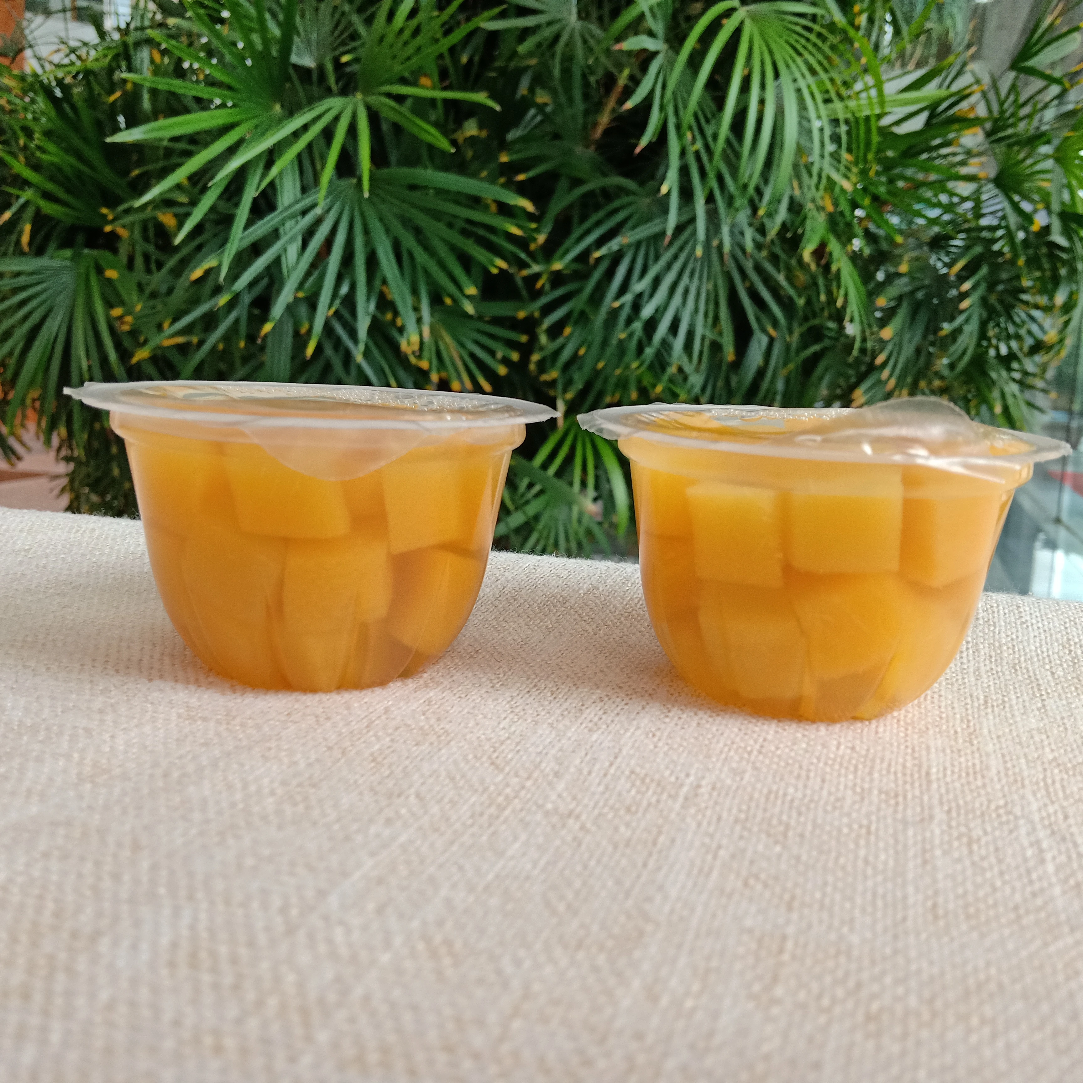 Canned  Yellow Peaches in Light Syrup