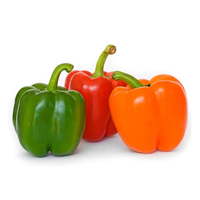 CAPSICUM WITH THE BEST PRICE AND HIGH QUALITY FROM ASIAN