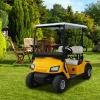 Cheap electric golf cart for sale,two seat golf buggy