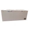 Chest Deep Freezer With Strong Baskets Portable Chest Chiller -18 Degree