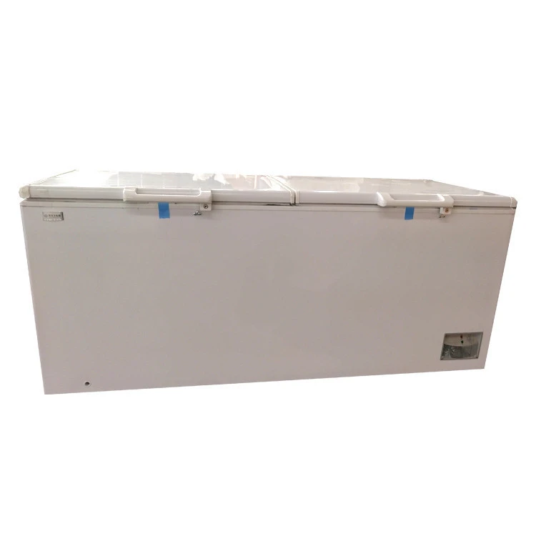 Chest Deep Freezer With Strong Baskets Portable Chest Chiller -18 Degree