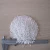 Import China Lowest Price White Color Zinc Sulfate Monohydrate 33% Granular from China