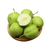 China Wholesale Delicious Fresh Farm Pear