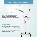 Classic unique design vapor ozone electric portable nano face hot steamer facial steamer