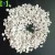 Import coarse white expanded perlite for growing media from China