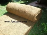 Coir Geotextile for soil erosion