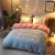 Import Comfortable pineapple pinstriped pliable skin friendly cotton velvet duvet cover king size bed sheet from China
