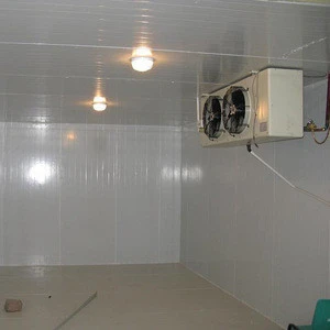Commercial assembly type  cold  room for vegetable and fruits