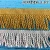 Import Cotton Tassel Fringe Lace from China