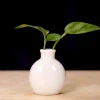 Creative ceramic floret vase green plant simple household tabletop decoration handicraft mini ceramic aromatreatment vase flower