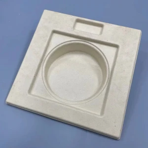 Custom Design Biodegradable Disposable Durable Paper Pulp Box