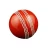 Import Custom Made Top Quality 2/4 Piece Hard Ball Cricket from Pakistan