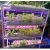 Import Customizable agricultural Vertical Hydroponic Hydroponic Growing Systems with full spectrum Grow lights from China
