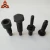 Import Customized Special Head Bolt with Black Oxide Finish from China