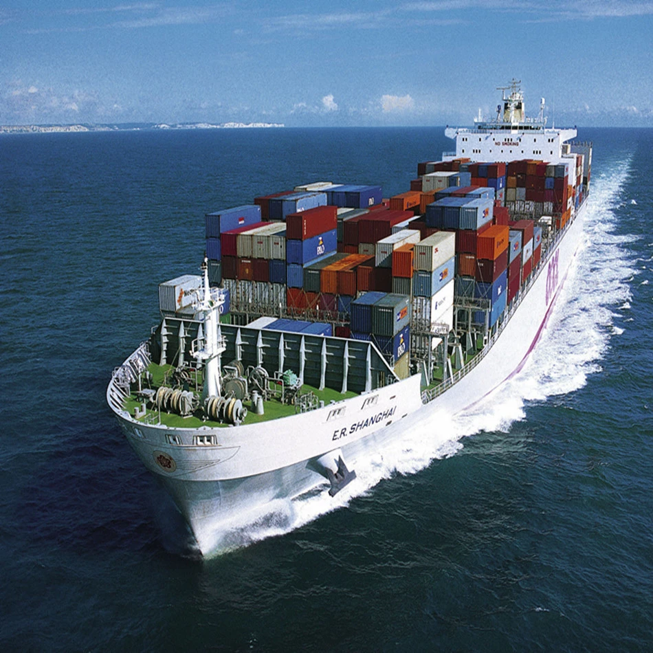 DDP DDU Service Amazon FBA maritime transport sea Cargo Agents  Special Line from China to the Poland/USA/UK/Italy